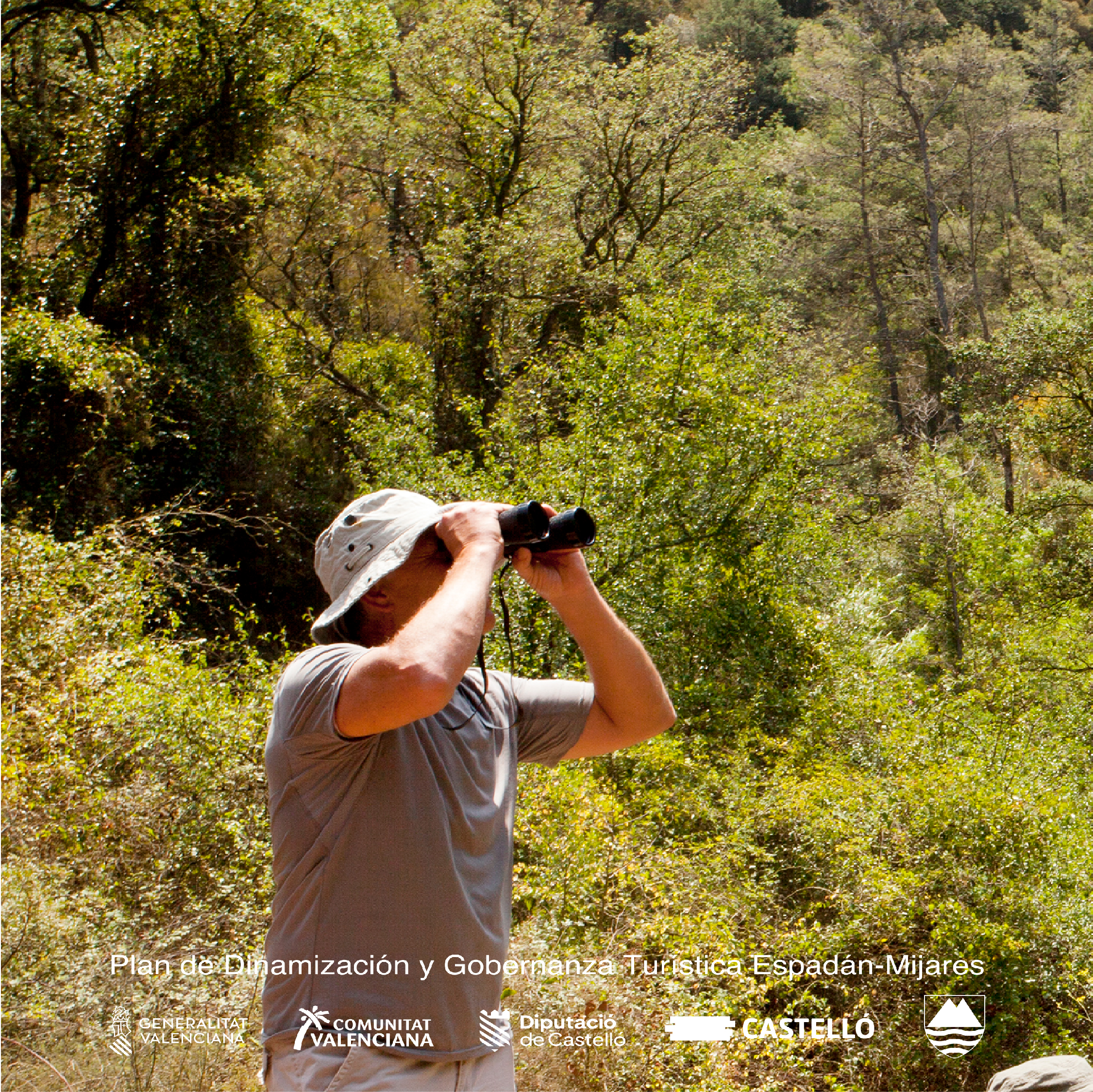 birding2