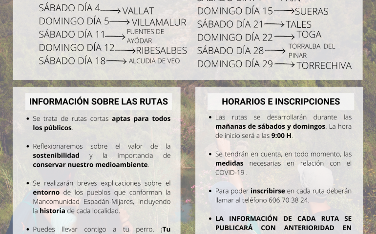 cartel