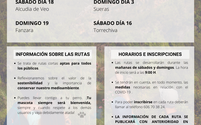 cartel