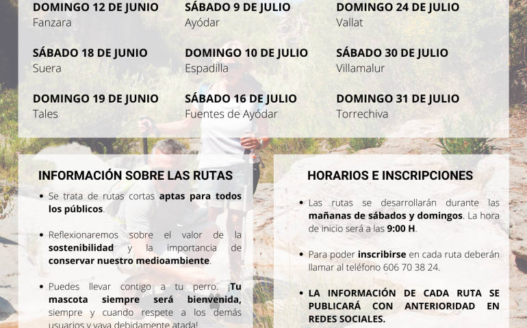cartel